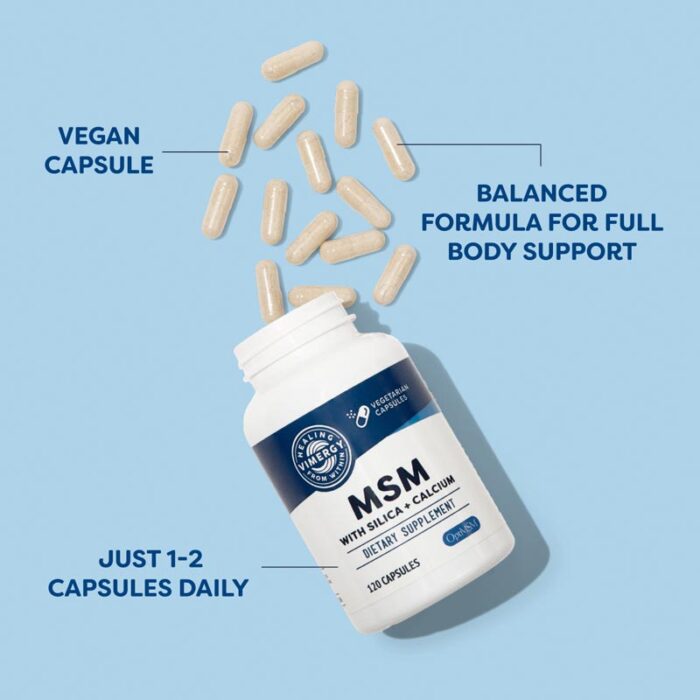 Vimergy MSM Kapseln 02