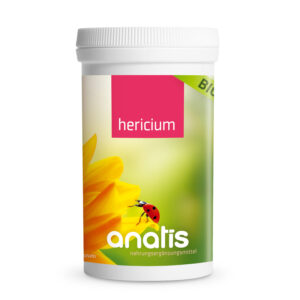 Anatis_Hericium-Pilz