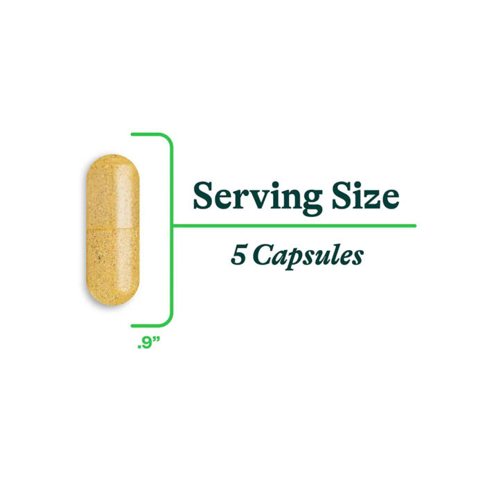 gut nutrients