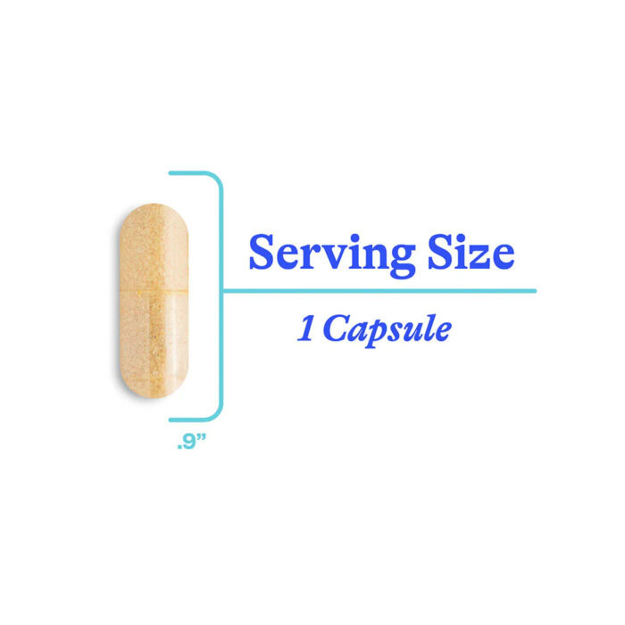 homocysteine nutrients