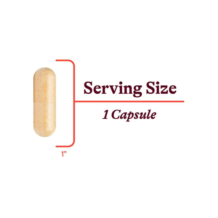 Seeking Health B Complex Plus 4