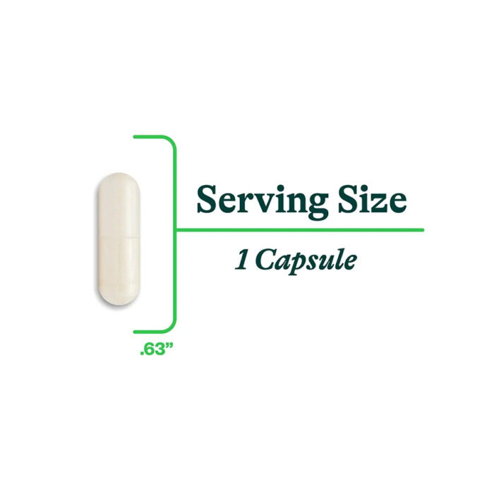 Seeking Health Zinc Carnosine 4