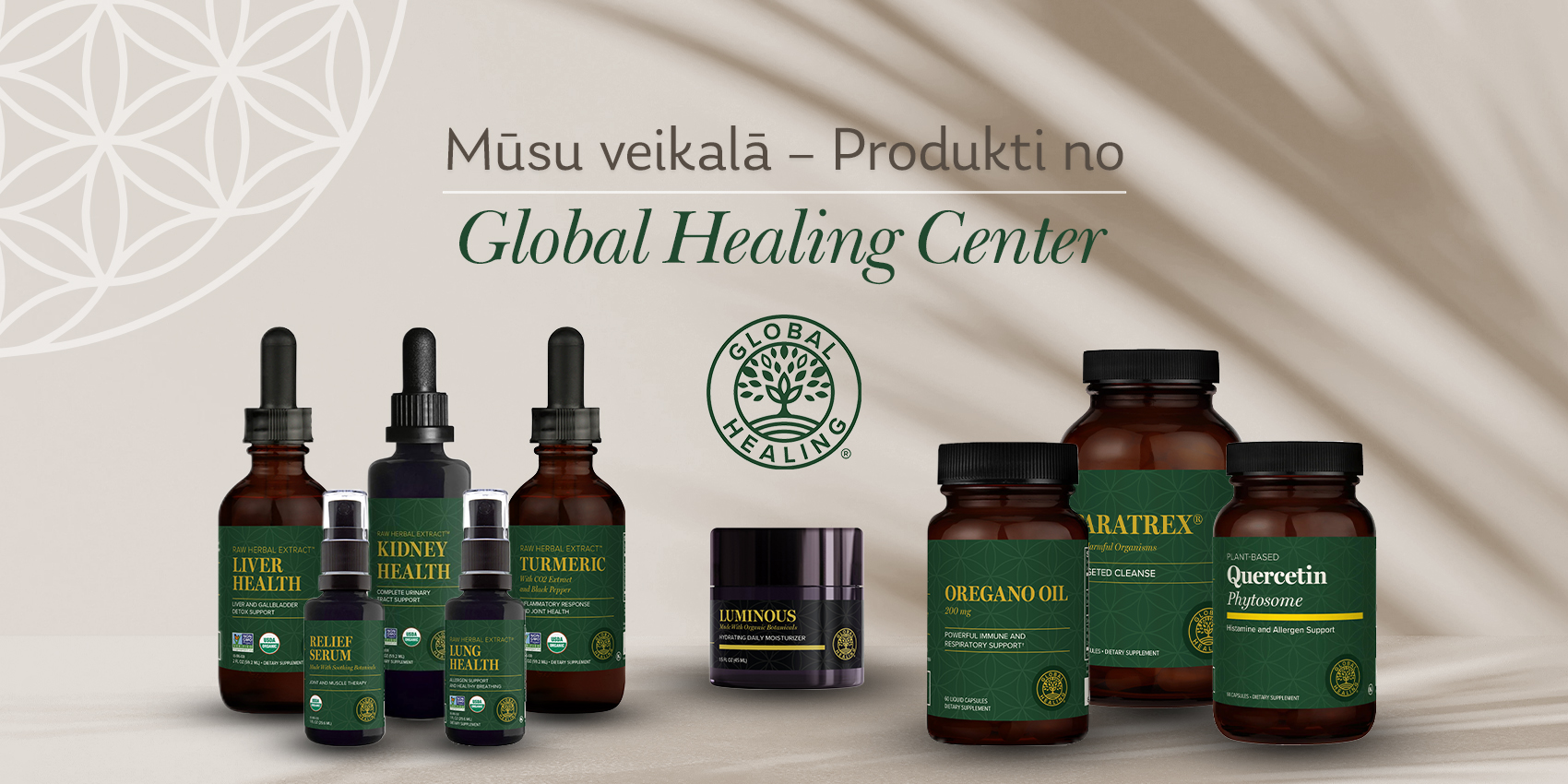 Globālā dziedināšanas centra slīdņa darbvirsma