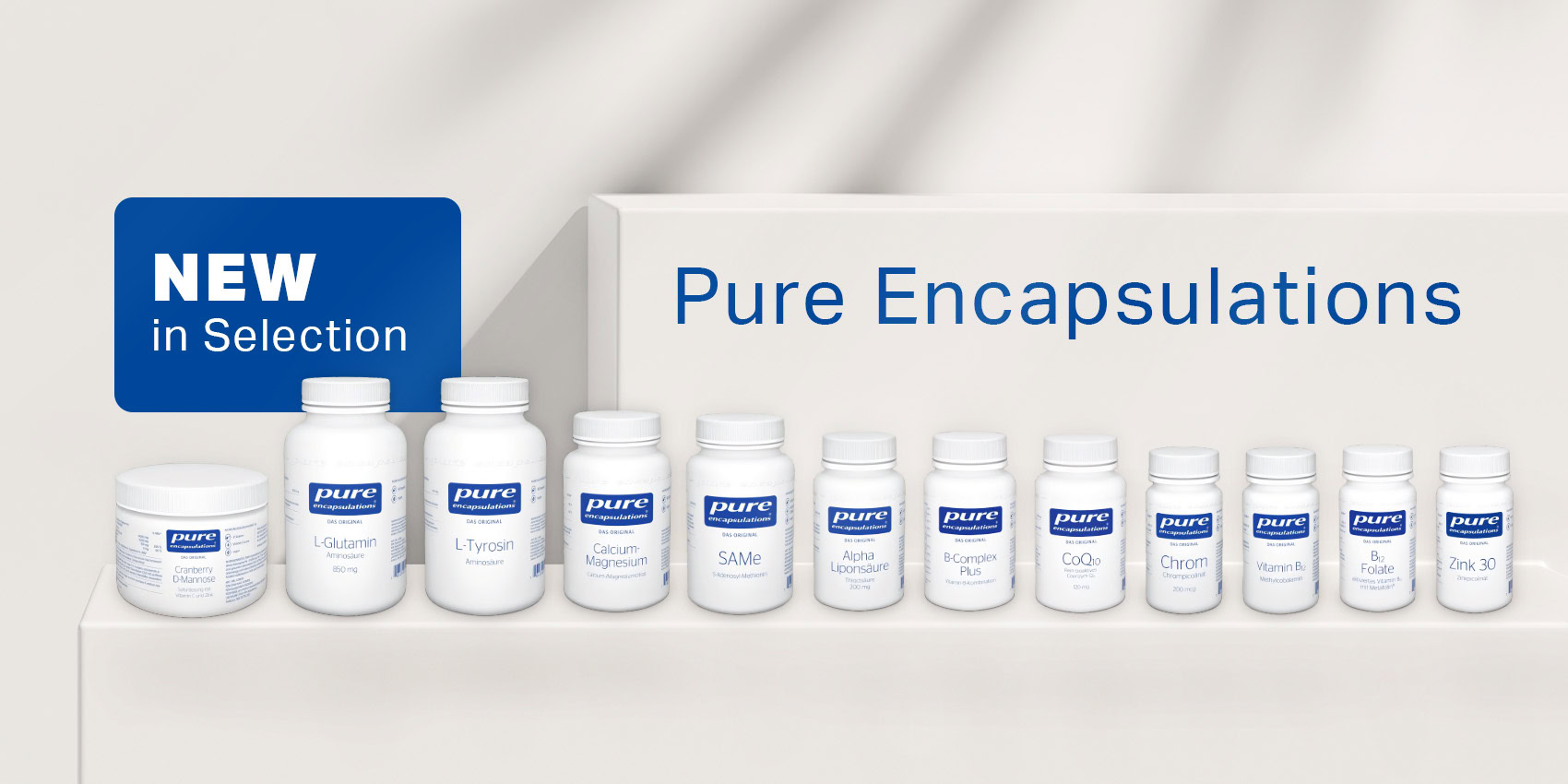 Pure Encapsulations02